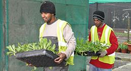 Corporate Social Responsibility